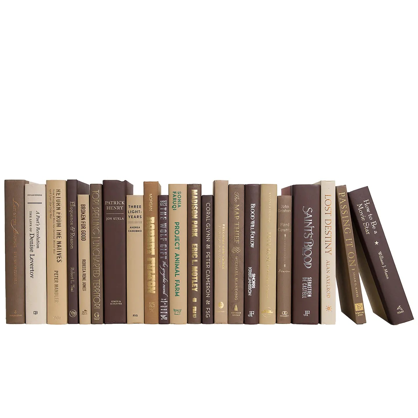 Decorative Book Bundles