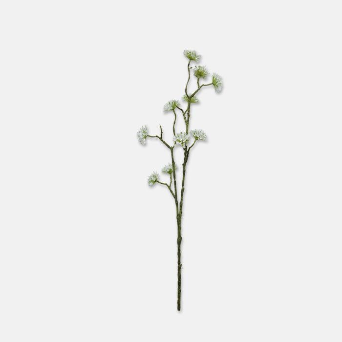 Blossom Stem