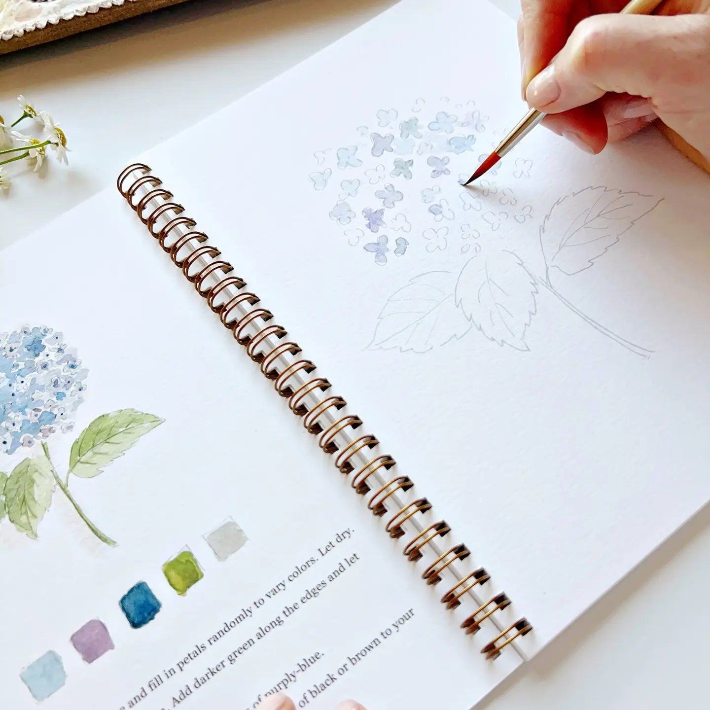 Emily Lex Watercolor Workbooks