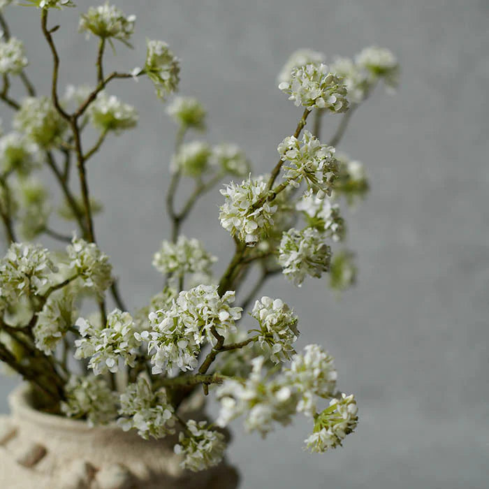 Blossom Stem