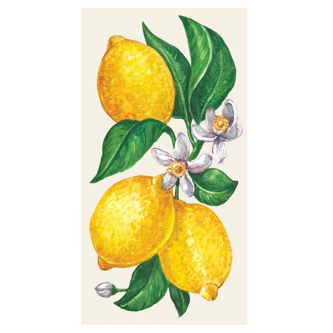 Hester & Cook Lemons Napkins