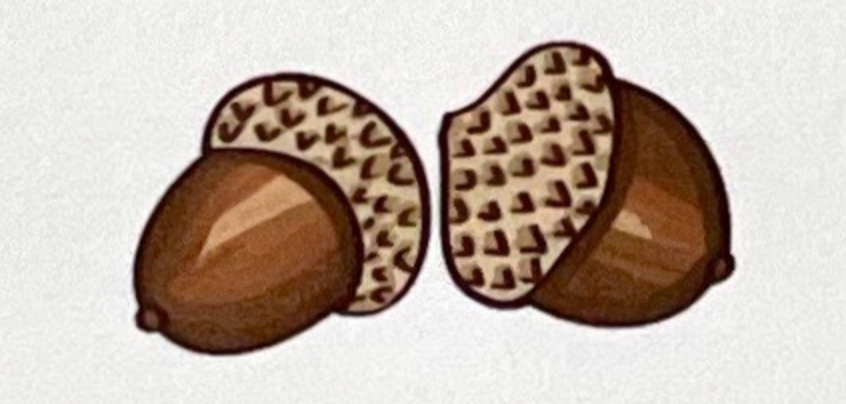 Motif Folded Place Cards
