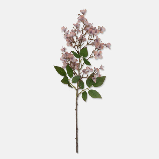 Japanese Cherry Blush Flower